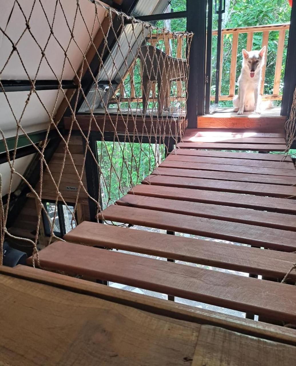 Aqeel Cabin In The Nature Penonomé Extérieur photo