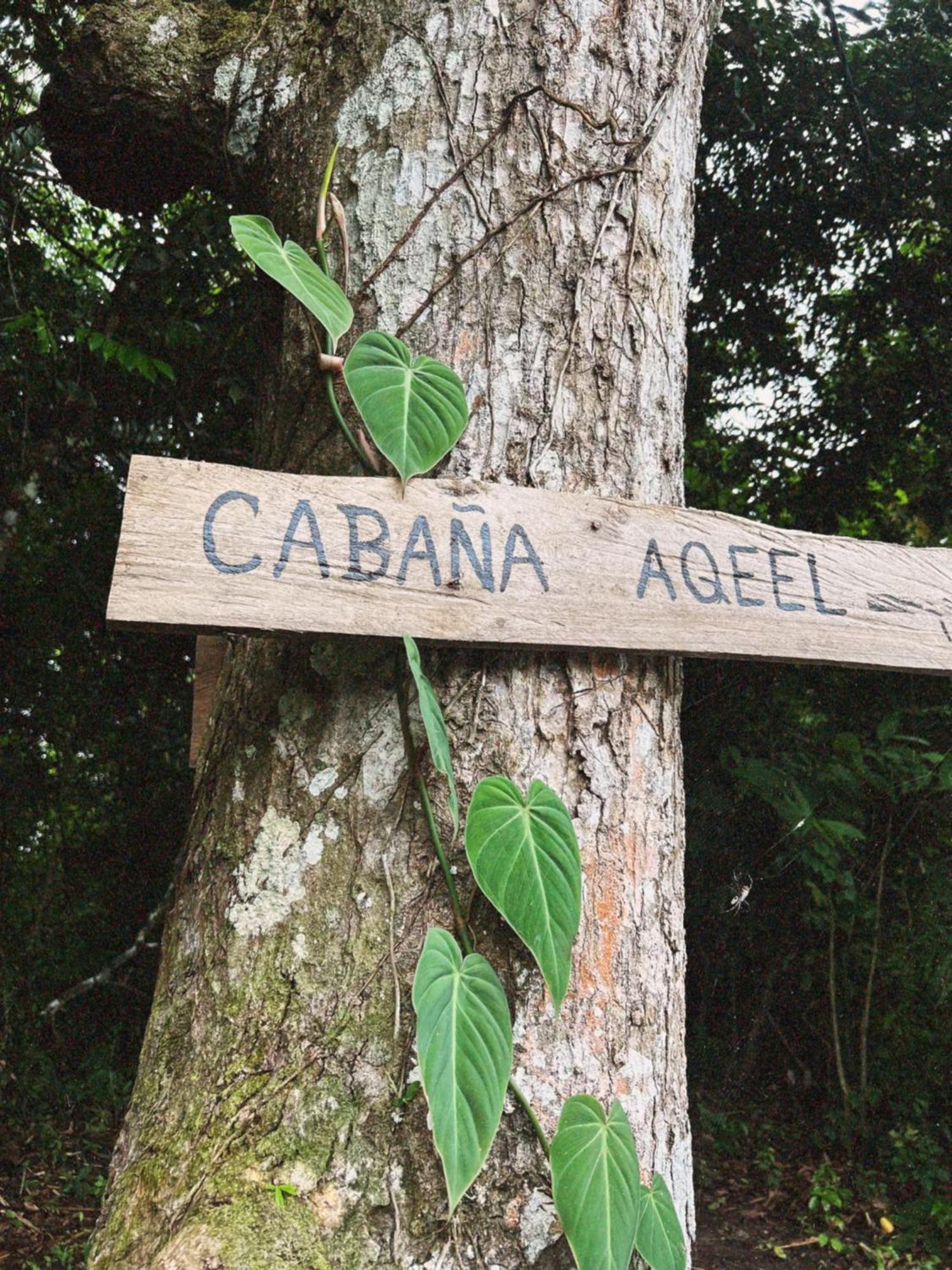 Aqeel Cabin In The Nature Penonomé Extérieur photo